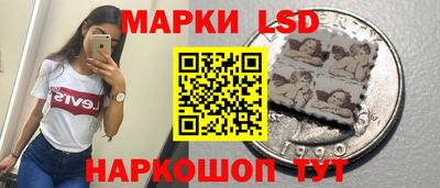 винт Кандалакша