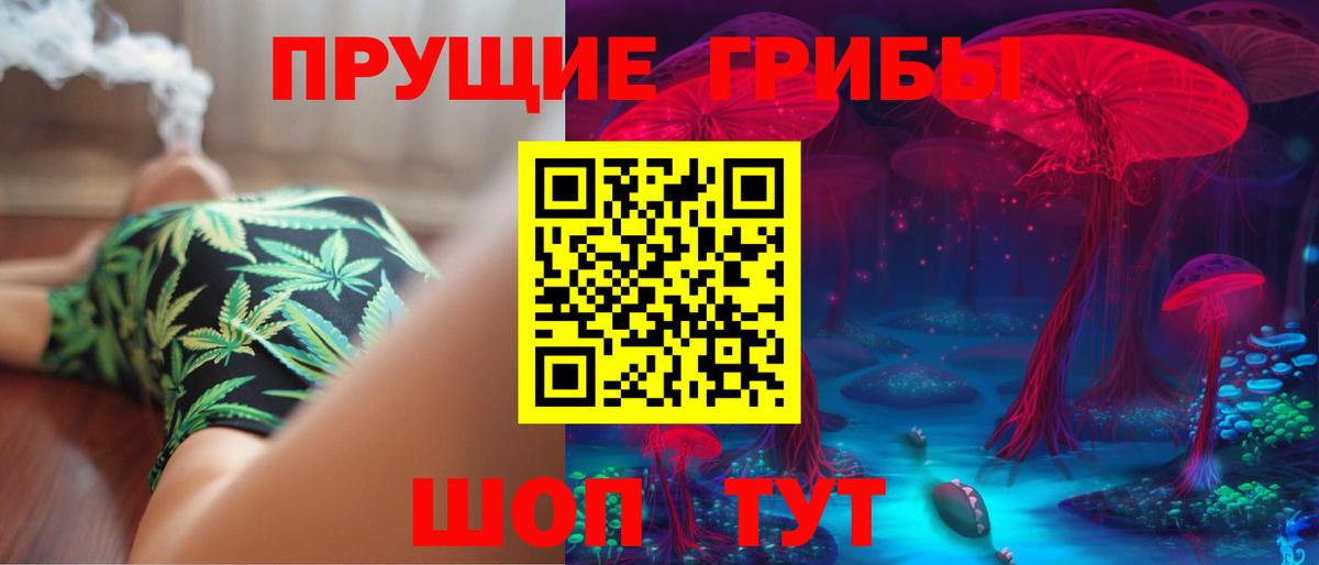 Галлюциногенные грибы Psilocybe  Галлюциногенные грибы мицелий  Майкоп 