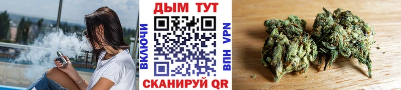Купить закладки  Майкоп  Каннабис SATIVA & INDICA 